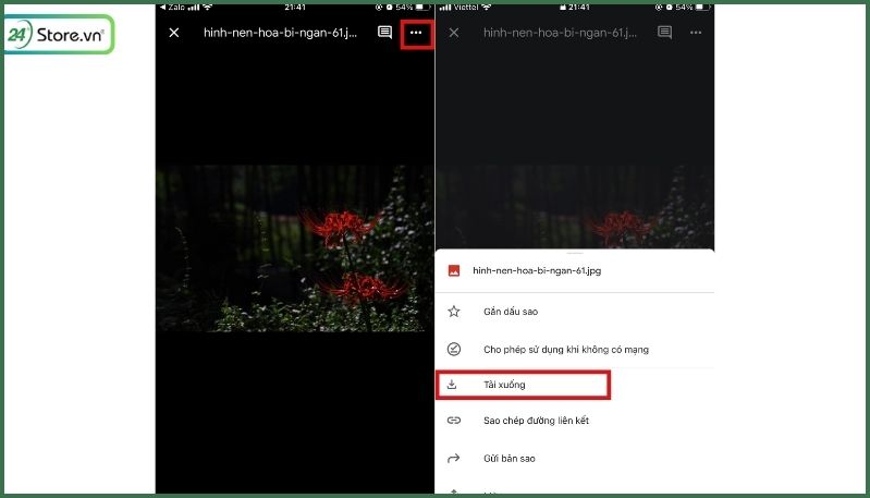 hình ảnh hoa bỉ ngạn buồn