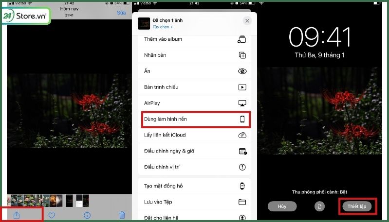 hình ảnh hoa bỉ ngạn buồn