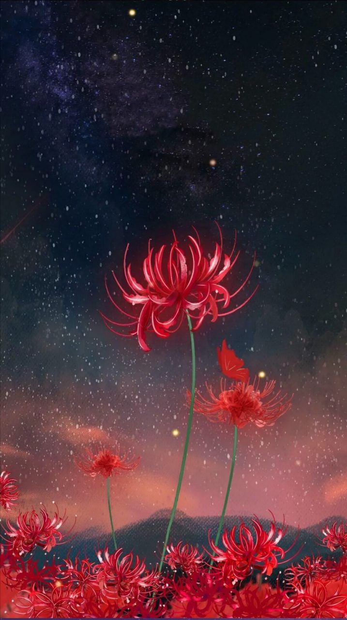 hình nền hoa bỉ ngạn 3d