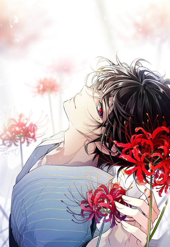 hình nền hoa bỉ ngạn anime