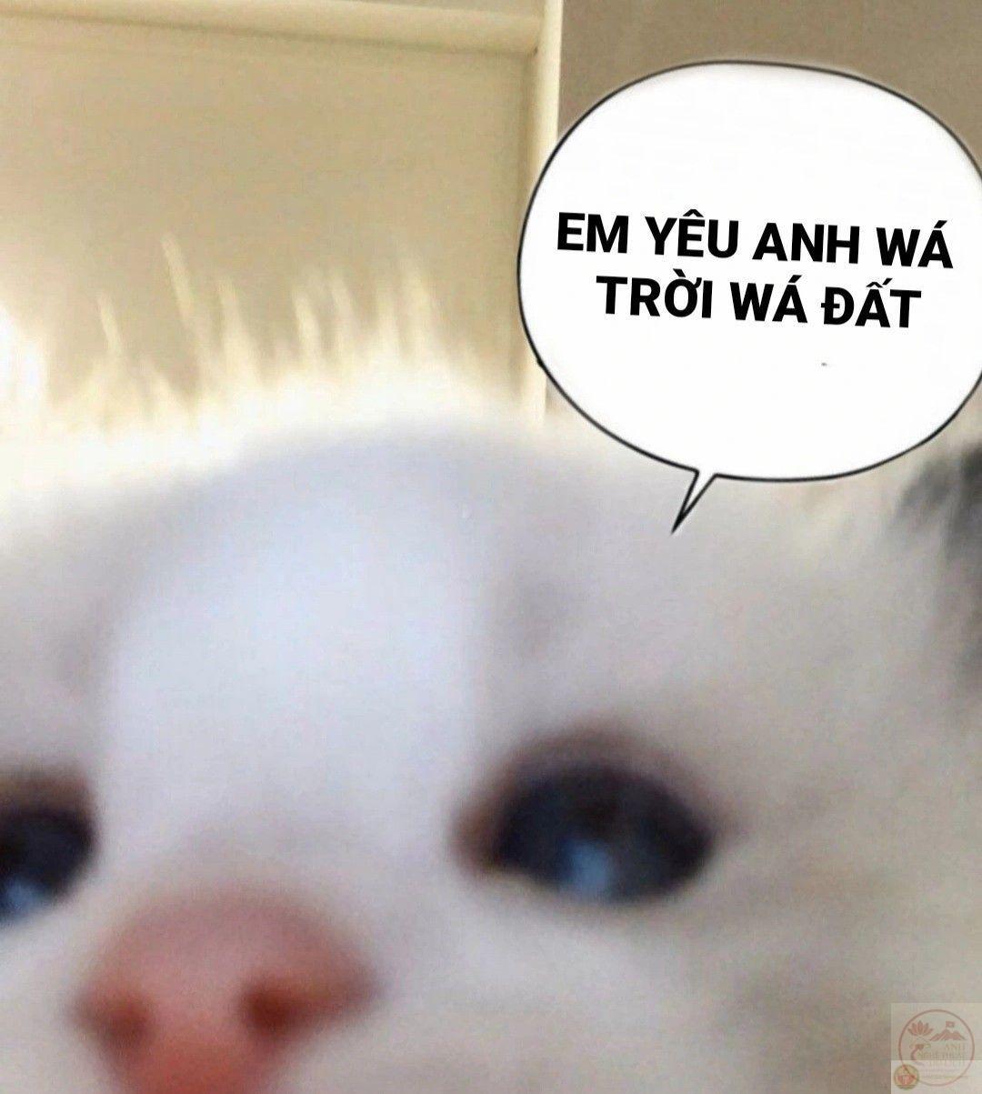 Ảnh meme tình yêu