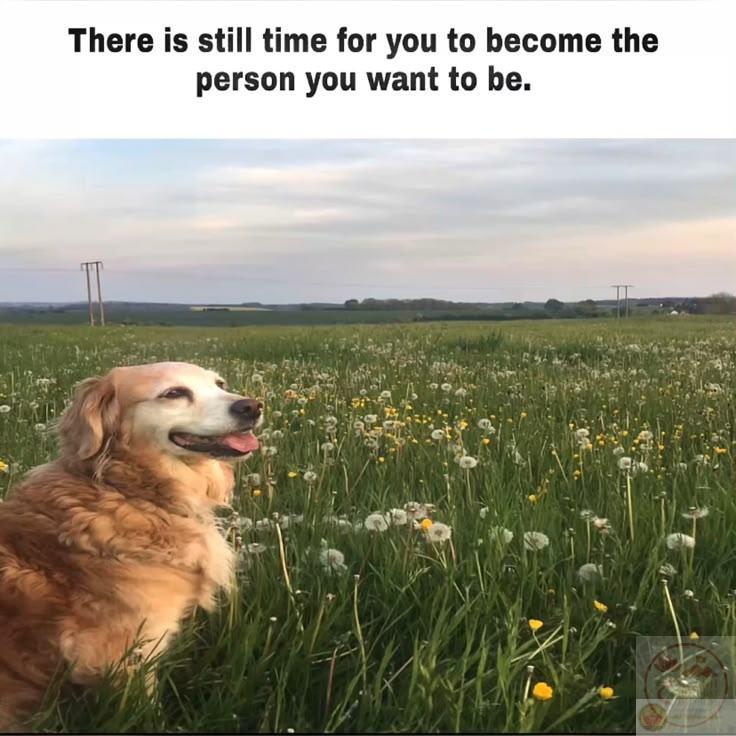 Một ngày trọn vẹn bắt đầu bằng nụ cười và tinh thần yêu thương cuộc sống thật nhiều