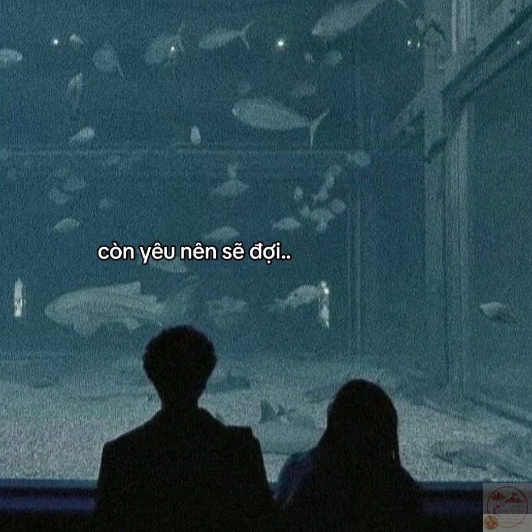 Tình yêu buồn không chỉ mang nước mắt, đôi khi nó còn để lại sự biết ơn