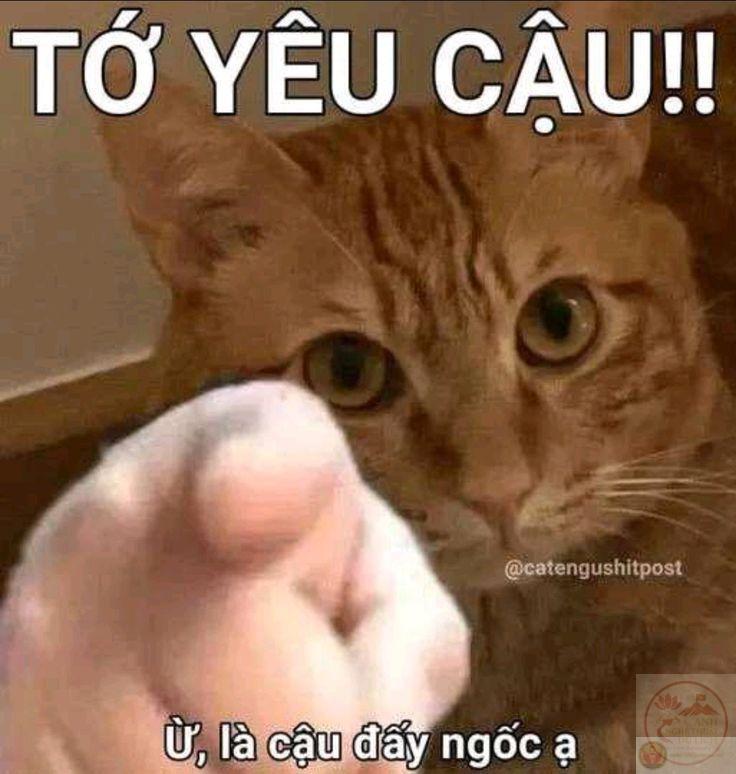 Yêu hài không phải là thiếu nghiêm túc, mà là cùng nhau tìm niềm vui giản dị