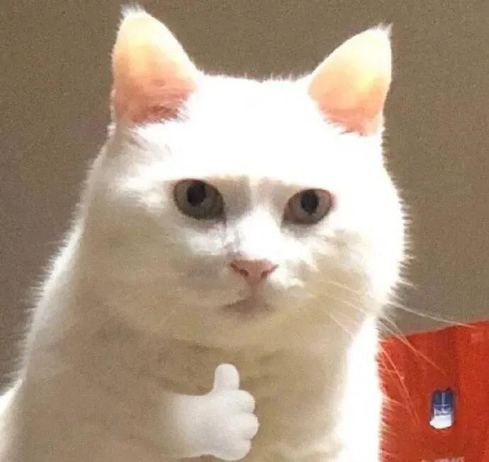 Meme like giúp thể hiện sự đồng tình một cách sáng tạo và hài hước dí dỏm