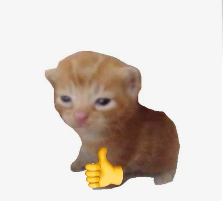 Meme like tạo ra tiếng cười bất ngờ khi xuất hiện trong những bình luận vui nhộn