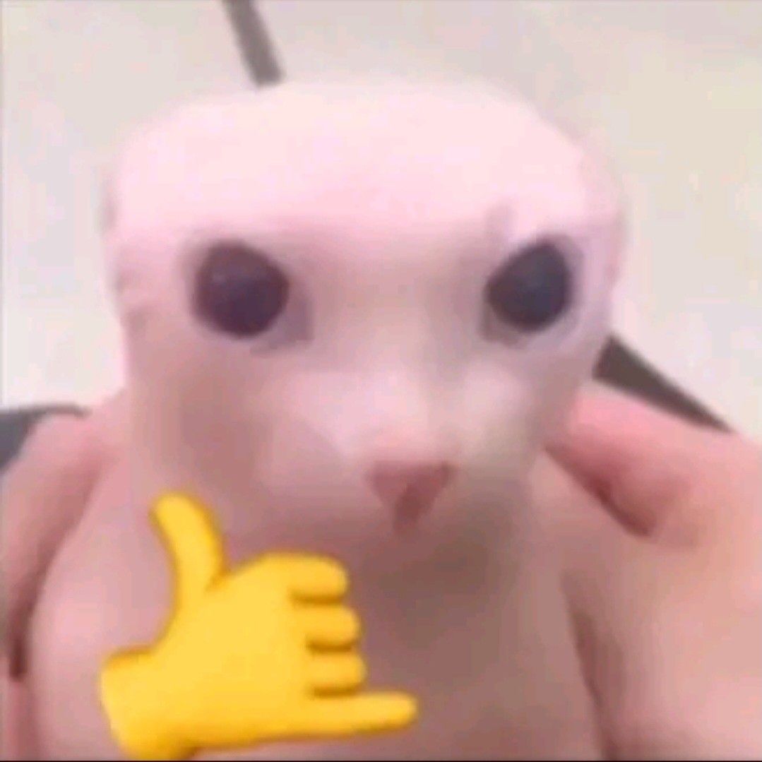 Meme thích lan tỏa mạnh mẽ khi giới trẻ dùng để bày tỏ sự đồng tình dễ thương