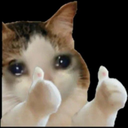 Meme like được xem là cách bày tỏ cảm xúc độc đáo nhất của cộng đồng mạng hiện nay