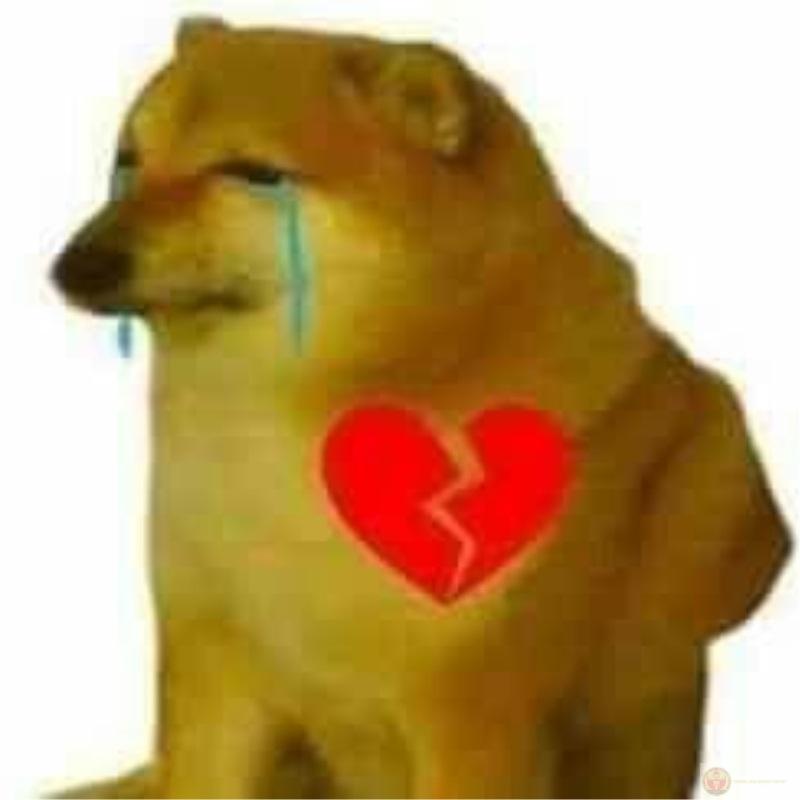 Tui cheems vậy thôi chứ tâm sáng lắm