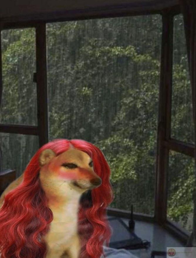 Tui biết mà, nhưng não không cho nói