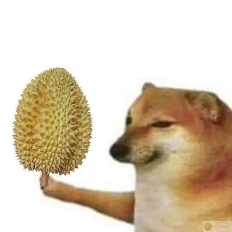 Sự ngốc nghếch của tui mang tính nghệ thuật