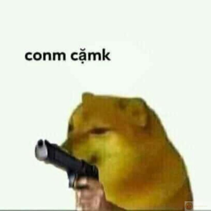 Người ta lý trí, tui thì Cheems theo bản năng