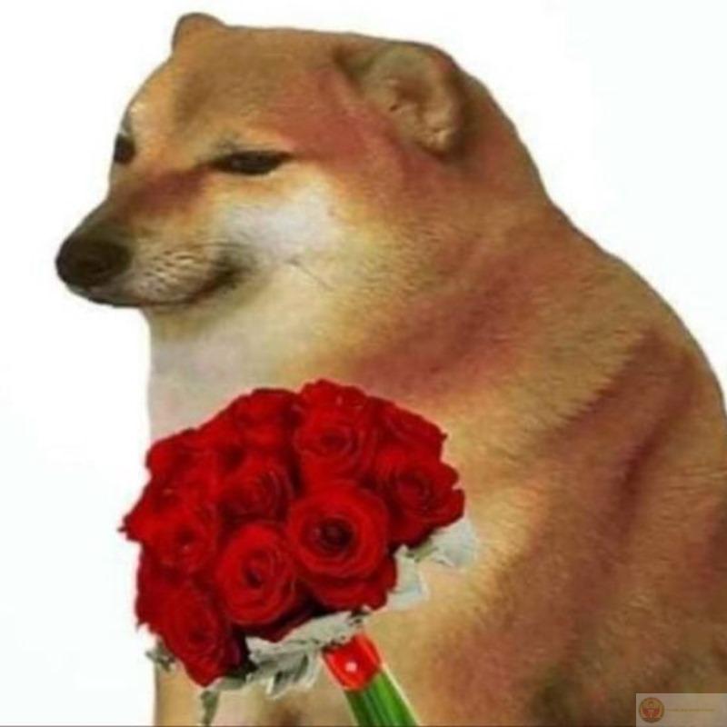 Học online xong phát âm như Cheems liền