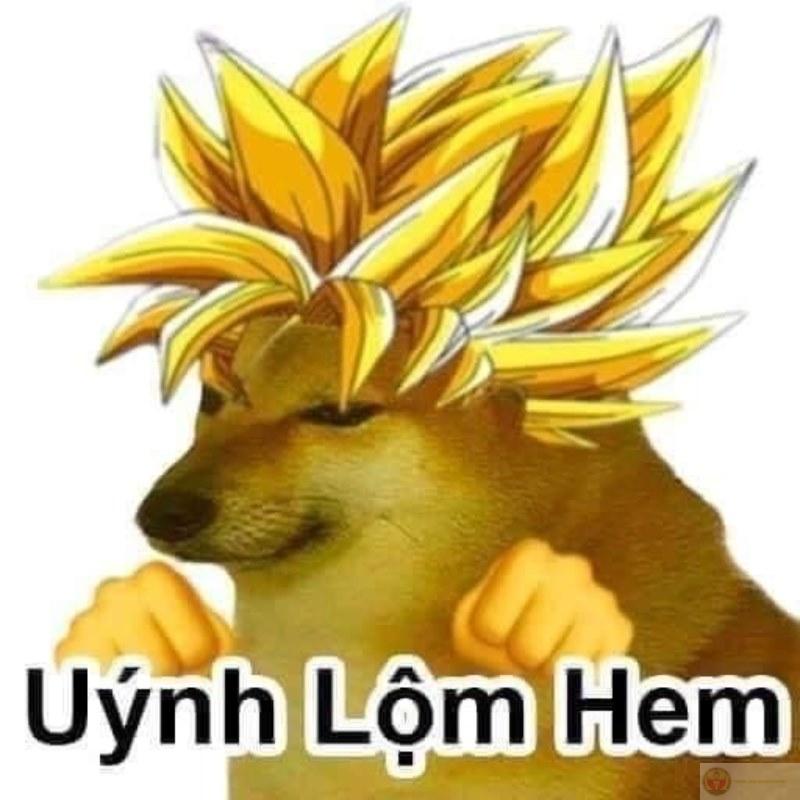 Me forgot how to word but still confident