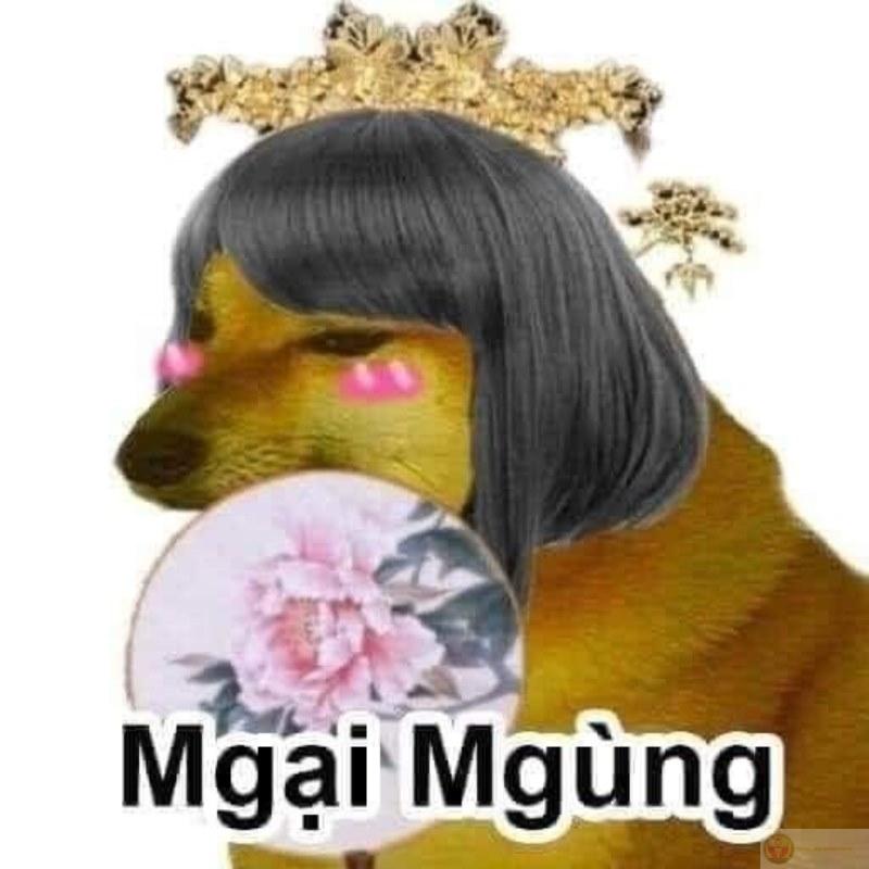 Học online xong là Cheems hóa toàn phần