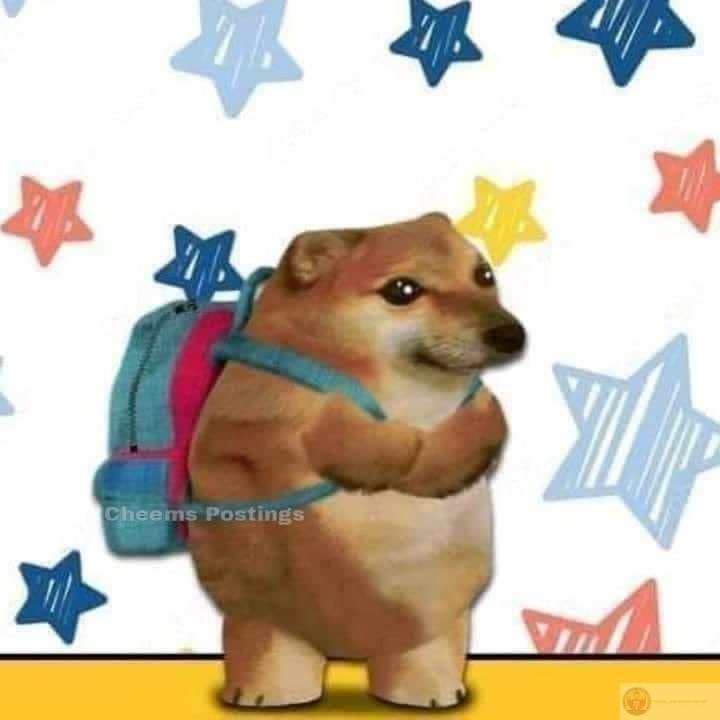 Me explain things that don