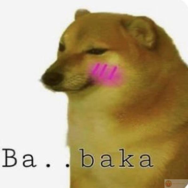 Lỡ tay bấm gửi trước khi não kịp xét duyệt