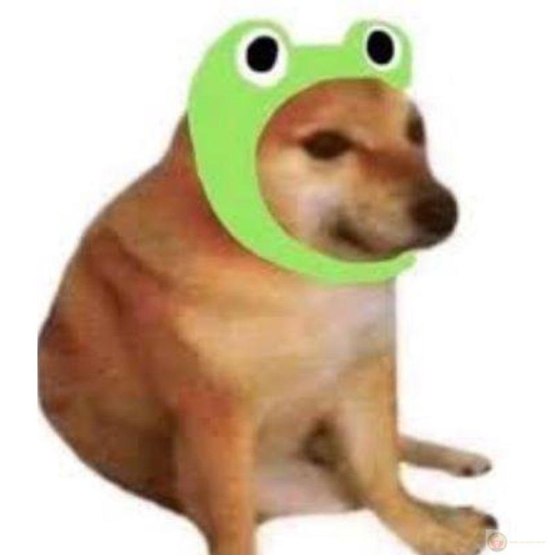 Không phải lỗi mạng, mà lỗi não