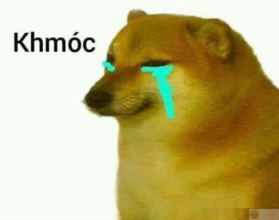 Không có ai ngốc cả, chỉ là Cheems thôi