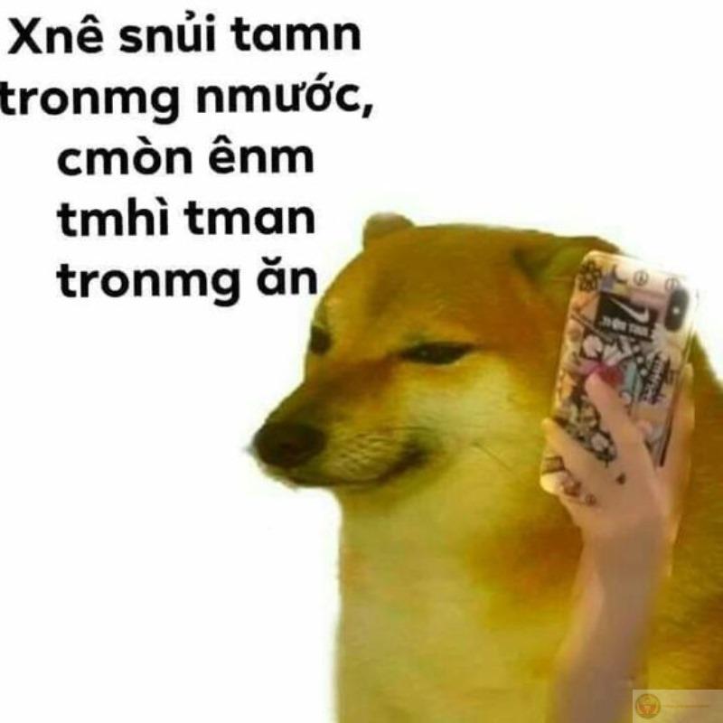 Cheems inside, bình tĩnh outside