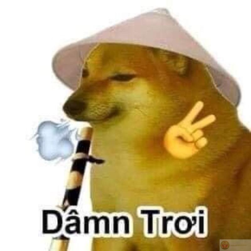 Cái sai duy nhất là tin rằng mình đúng