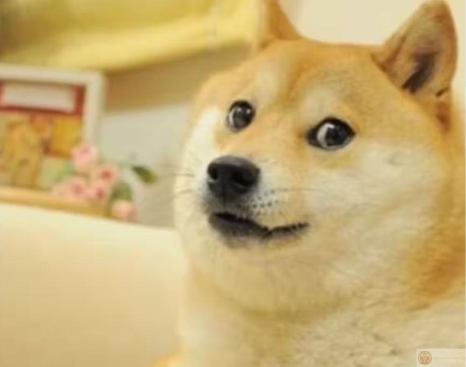 Tui vừa nói xong, người ta cười xỉu