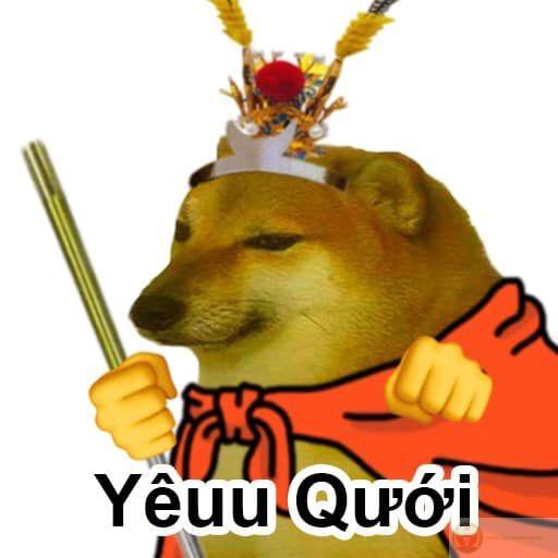 Tui sống theo phong cách: lú nhưng đừng lo