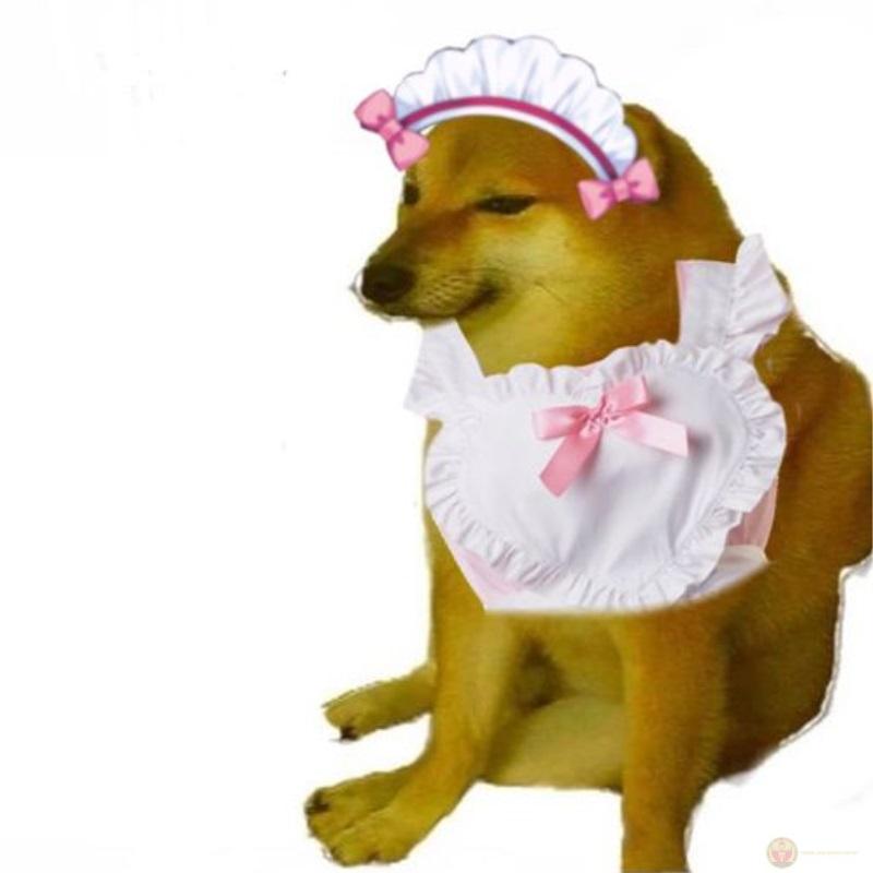 Tui nói mà bạn cười là tui thành công