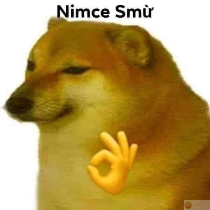 Tui không phát âm sai, chỉ đang cheems thôi