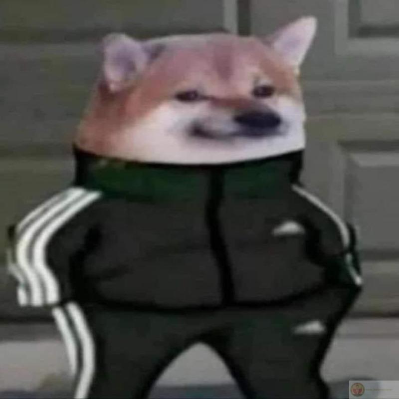 Tui là minh chứng cho câu