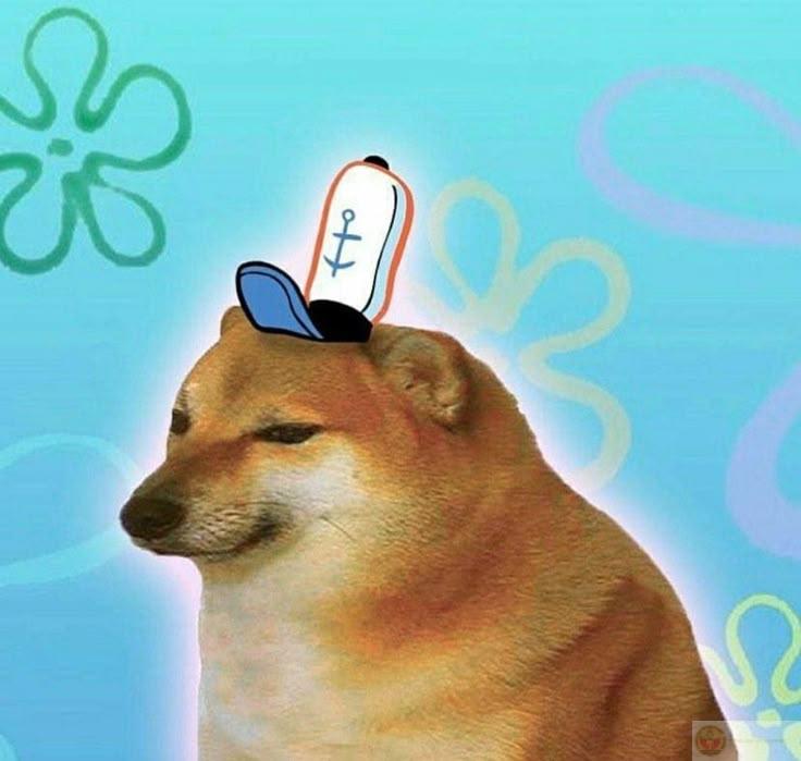 Me presenting like Cheems on stage