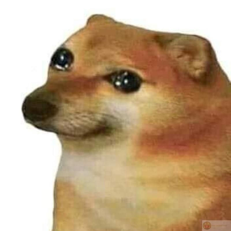 Me want peace, but brain say