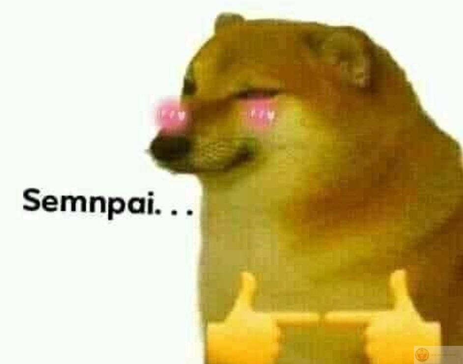 Me when say somthing dum but happy