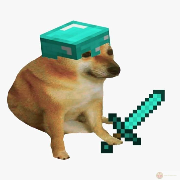 Mỗi lần phát biểu là như tung xúc xắc