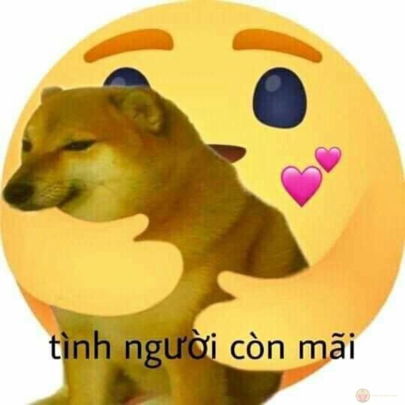 Nói vậy nghe ngu nhưng vui là được rồi