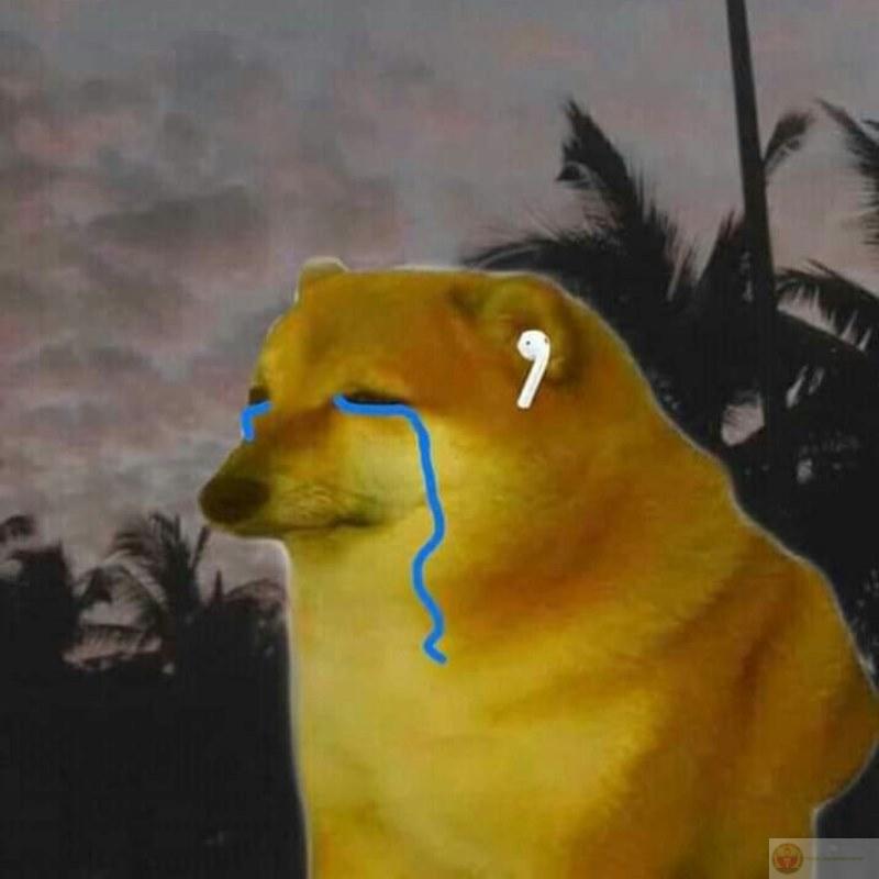 Tui bình thường thôi, chỉ là não đang nghỉ