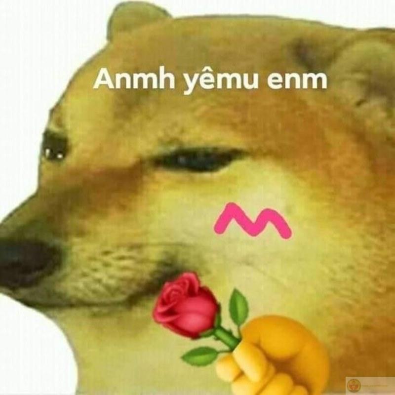 Tui có ý tốt nhưng nói ra nghe ngu quá