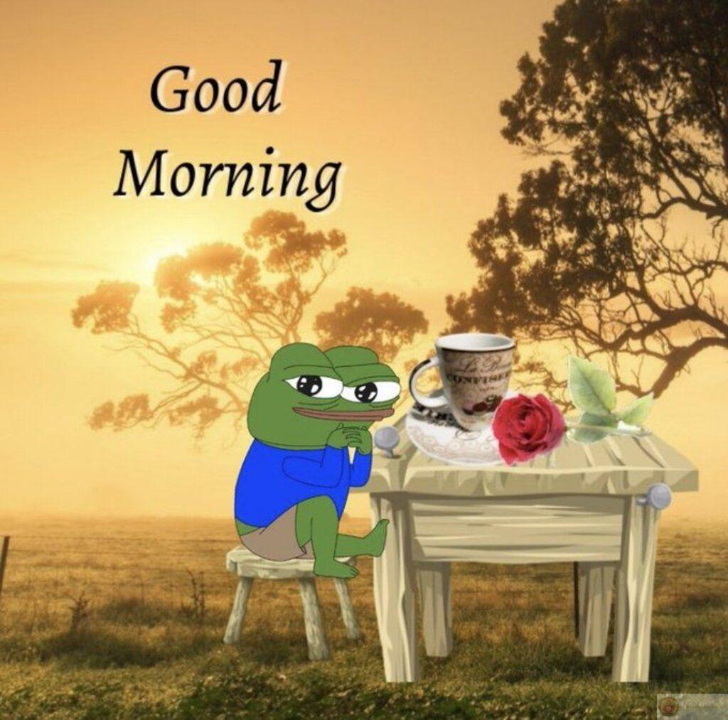 Hình ảnh ếch xanh lan tỏa khắp nơi nhờ sự đơn giản nhưng thú vị