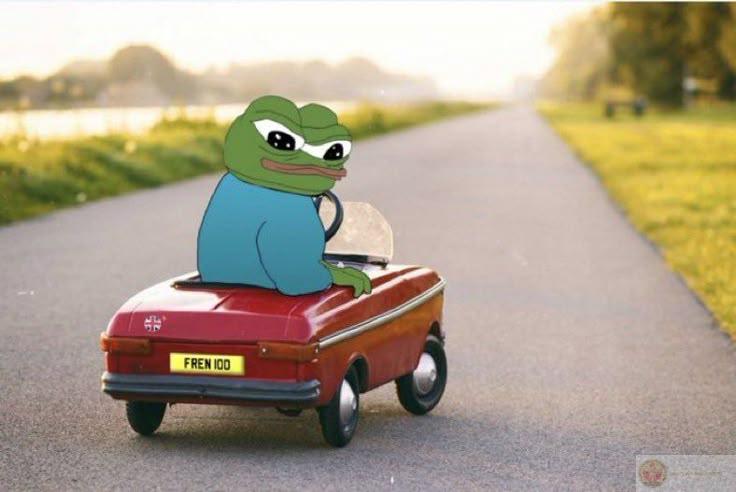 Ảnh con ếch meme