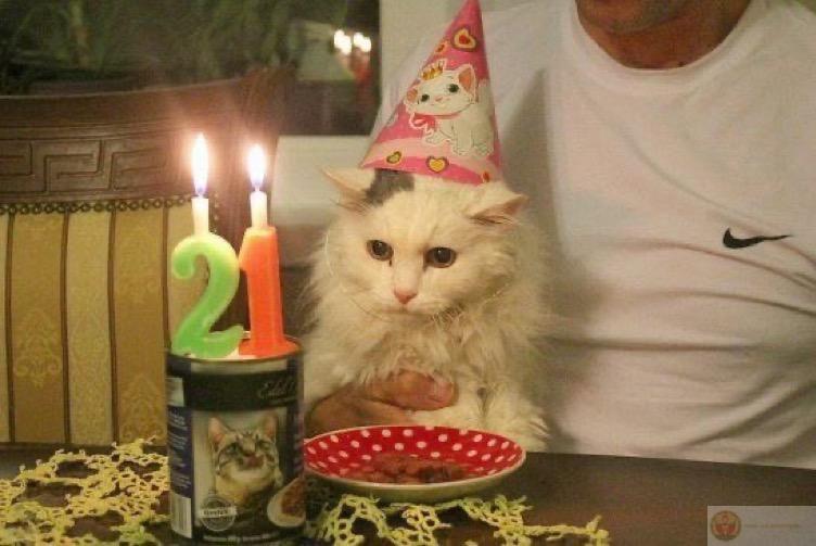 Bớt ảo tưởng đi, sinh nhật chứ không casting