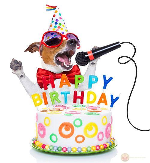 Hôm nay tao tha, nhưng vẫn chụp lén