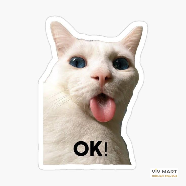 Hình ảnh meme ok hài hước về sự thất bại - meme ok