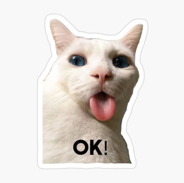 Ảnh meme ok​ về chú mèo ngộ nghĩnh đang suy tư