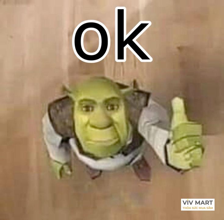 Hình ảnh meme ok hài hước, thể hiện sự đồng ý một cách bá đạo.