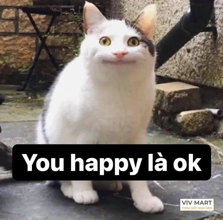 Ảnh meme ok hài hước, tình huống dở khóc dở cười