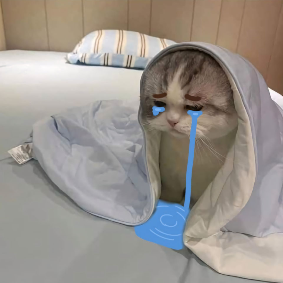 anh meme meo buon 960px 960px avaatar 2