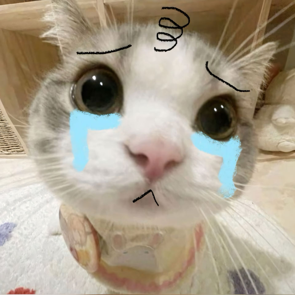 anh meme meo buon 960px 960px avaatar 8