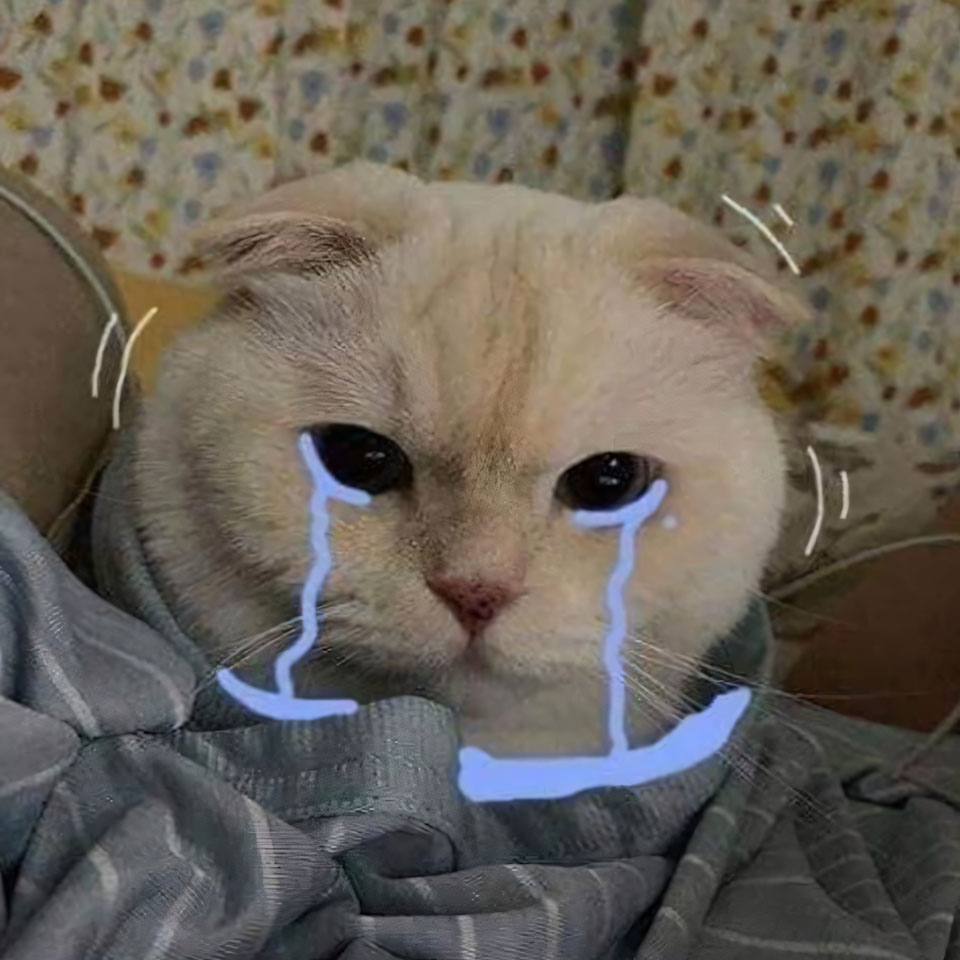 hinh anh meo buon khoc 960px 960px avaatar 9