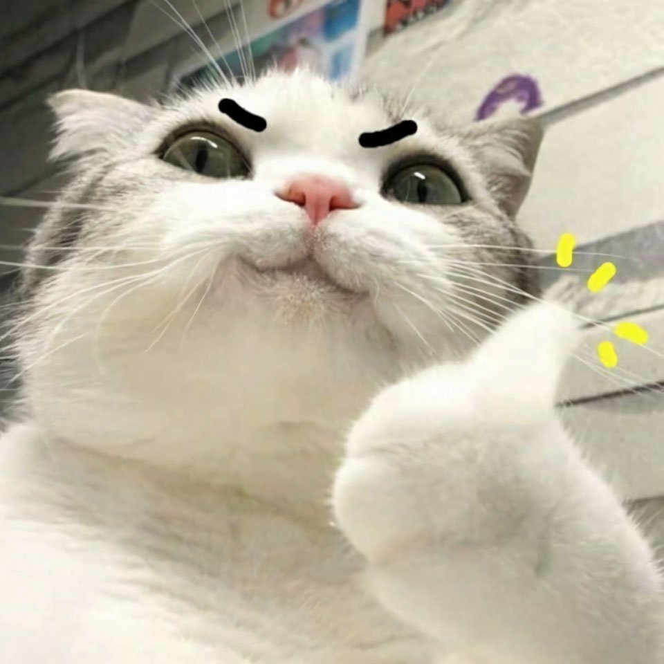 anh con meo buon cuoi 960px 960px avaatar 1