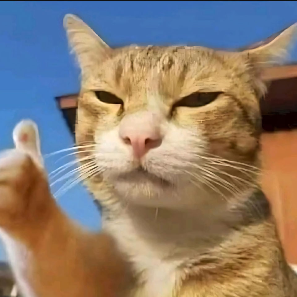 anh con meo buon cuoi 960px 960px avaatar 2